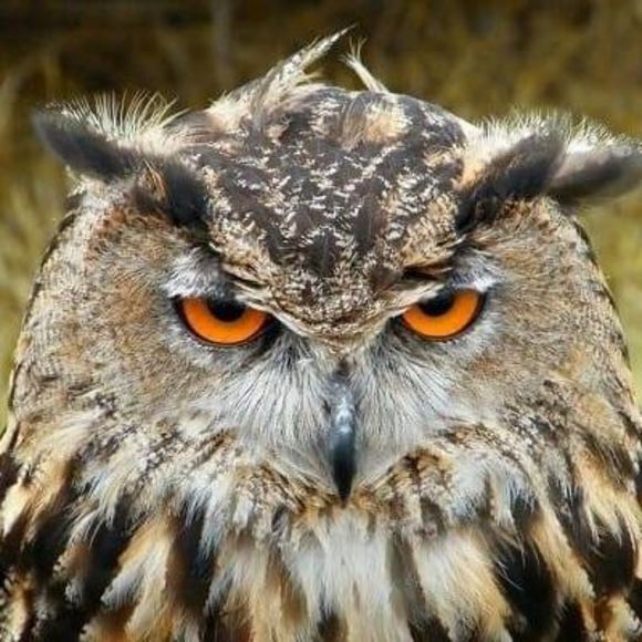 Meet your Posher, Matthew - Picture 1 of 1